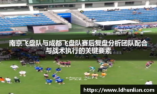 南京飞盘队与成都飞盘队赛后复盘分析团队配合与战术执行的关键要素